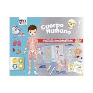 CUERPO HUMANO PANTALLA MAGNÉTICA